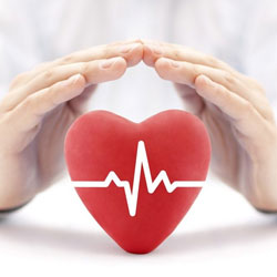 Maanai Individual Counselling Services